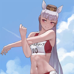 This is a pixiv picture whose title is ゴールドシップ.