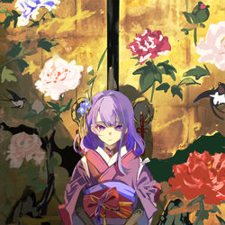 This is a pixiv picture whose title is 将軍の間.