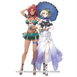 This is a pixiv picture whose title is 【お仕事】ＦＥヒーローズ『常夏模様の二人-ハピ』.