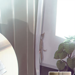 This is a pixiv picture whose title is ちらっ|дﾟ)🐈.