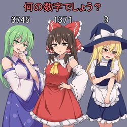 This is a pixiv picture whose title is 幻想郷の不思議な数字.