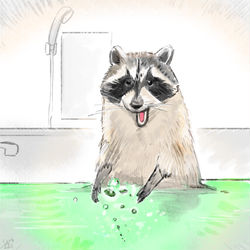 This is a pixiv picture whose title is アライグマとバブ.