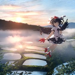 This is a pixiv picture whose title is 朝霧の棚田.