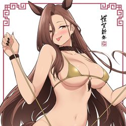 This is a pixiv picture whose title is 謹賀新年.