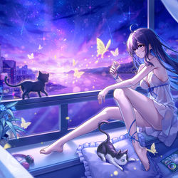 This is a pixiv picture whose title is 少女与猫.