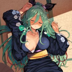 This is a pixiv picture whose title is 好きなところにみかんを置こう！.