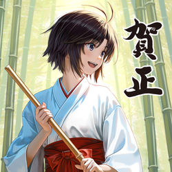 This is a pixiv picture whose title is 巫女まこりん.