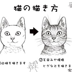 This is a pixiv picture whose title is 猫の描き方講座.