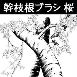 This is a pixiv picture whose title is 幹枝根ブラシ_桜.