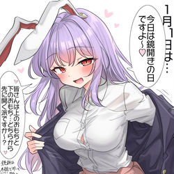 This is a pixiv picture whose title is 1/11は鏡開きの日！.