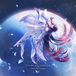 This is a pixiv picture whose title is 月の少女.