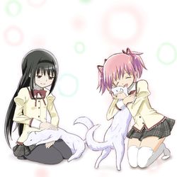 This is a pixiv picture whose title is 愛と希望と勇気の日(タロとジロの日)2026・まどほむにて.