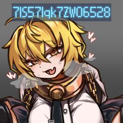 This is a pixiv picture whose title is 지령받은 돈키.