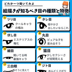 This is a pixiv picture whose title is 絵描きが知るべき目の種類と特徴.