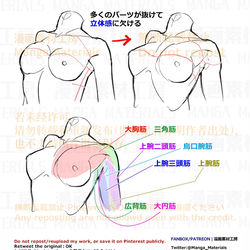 This is a pixiv picture whose title is 個人メモ：腋周りの筋肉.