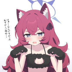 This is a pixiv picture whose title is 猫イロハ.