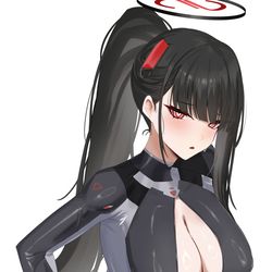 This is a pixiv picture whose title is ありがとう！！！！！！！ブルーアーカイブ！.