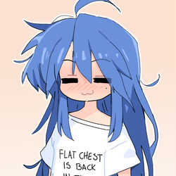 This is a pixiv picture whose title is 貧乳.