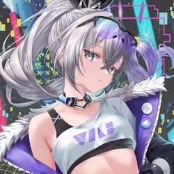 This is a pixiv picture whose title is LO✨-Silver Wolf-✨VE.