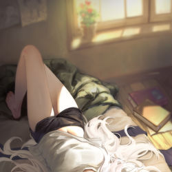 This is a pixiv picture whose title is ヒナちゃん　昼寝.