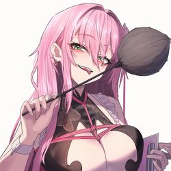 This is a pixiv picture whose title is どこの掃除をしてくれるのか。。。.