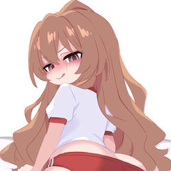 This is a pixiv picture whose title is 逢坂大河 260104.