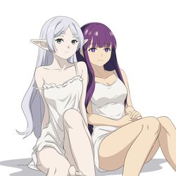 This is a pixiv picture whose title is Frieren & Fern Cover.