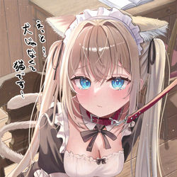 This is a pixiv picture whose title is 犬じゃなくて、猫です….