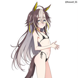 This is a pixiv picture whose title is ドリームジャーニー.