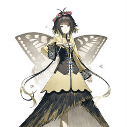 This is a pixiv picture whose title is アゲハ蝶ちゃん.