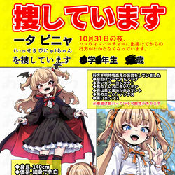 This is a pixiv picture whose title is 捜しています.