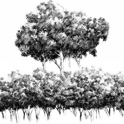 This is a pixiv picture whose title is 手描き風森ブラシ.