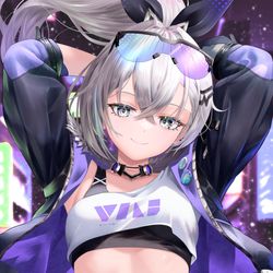 This is a pixiv picture whose title is silver wolf.