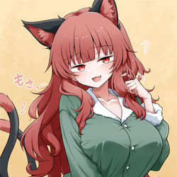 This is a pixiv picture whose title is 冬毛お燐.