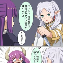 This is a pixiv picture whose title is 修行するフリーレン達と手伝わされるアウラ.