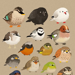 This is a pixiv picture whose title is 近所鳥.