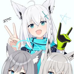 This is a pixiv picture whose title is しろけも.