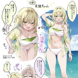 This is a pixiv picture whose title is 南の島の友達ちゃん（フレンちゃん）.