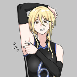 This is a pixiv picture whose title is 腋お肉.