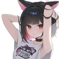 This is a pixiv picture whose title is 😾.