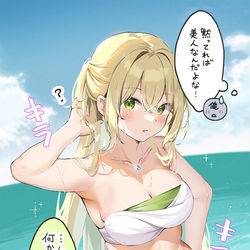 This is a pixiv picture whose title is 黙っていれば美しいフレンちゃん.