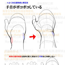 This is a pixiv picture whose title is 個人メモ：手首の突起.