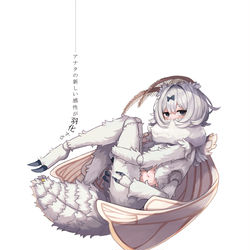 This is a pixiv picture whose title is 東京個展開催🦋熊野プラン個展 『 虫ノ少女ト 』.