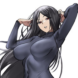 This is a pixiv picture whose title is Zealot chan.
