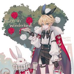 This is a pixiv picture whose title is 少年アリス.