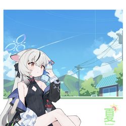 This is a pixiv picture whose title is Summer.