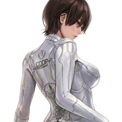 This is a pixiv picture whose title is EVIE.