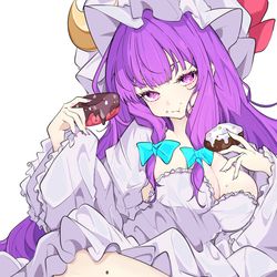 This is a pixiv picture whose title is パチュリー.