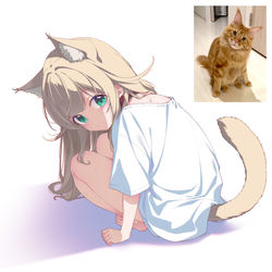 This is a pixiv picture whose title is うちの猫の不思議な座り方が可愛い🐈✨.