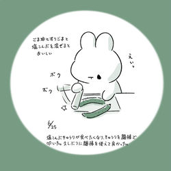 This is a pixiv picture whose title is 今日の日記.